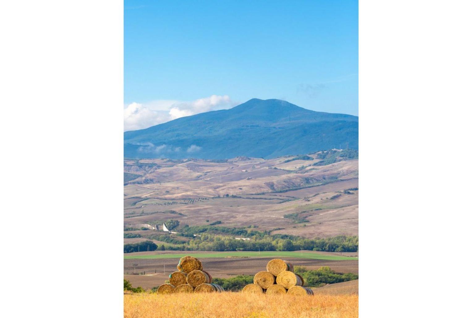 Villa Podere Belvedere سيينا المظهر الخارجي الصورة