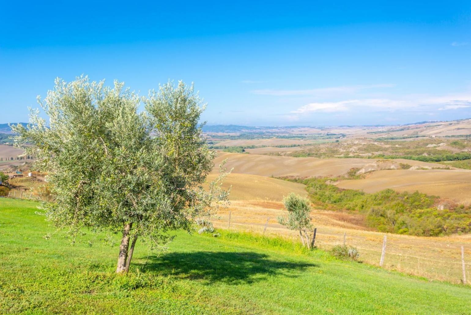 Villa Podere Belvedere سيينا المظهر الخارجي الصورة